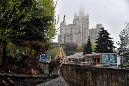 Весна в Московском зоопарке