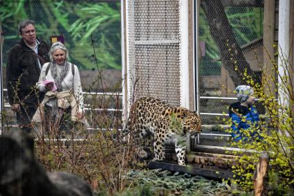 Весна в Московском зоопарке