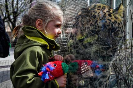 Весна в Московском зоопарке