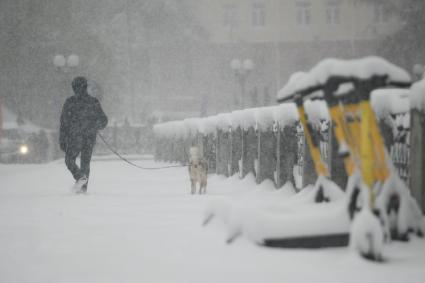 Последствия майского снегопада в Екатеринбурге