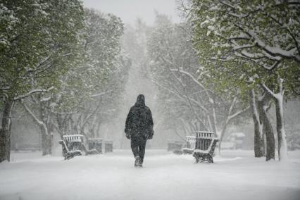 Последствия майского снегопада в Екатеринбурге