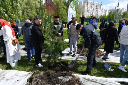 Кедровую аллею в память о погибших военных корреспондентах высадили в Москве