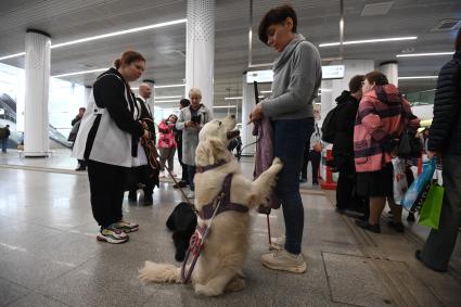 Показательные выступления школы подготовки собак-проводников в Московском метрополитене
