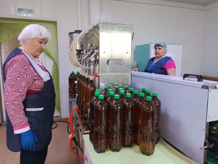 Производство березового сока