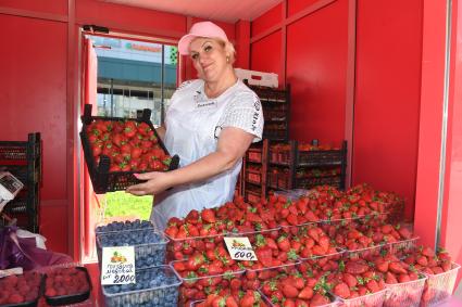 Продажа клубники в Москве