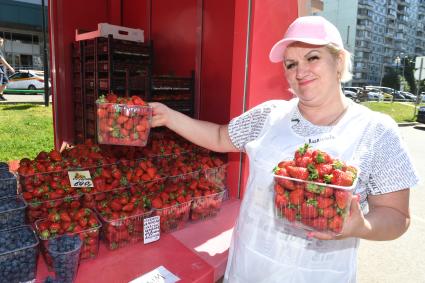 Продажа клубники в Москве