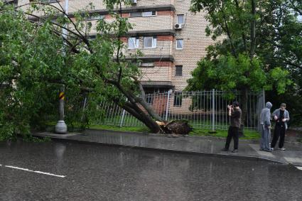 Ливень в Москве