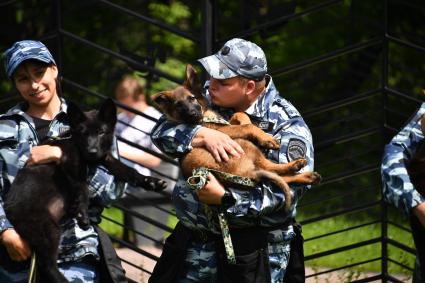 Фестиваль Собака – друг на службе Отечеству