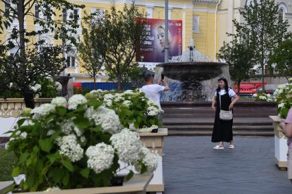 Жаркая погода в Москве