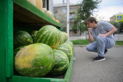 Продажа арбузов