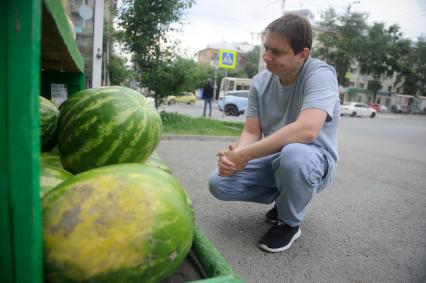 Продажа арбузов