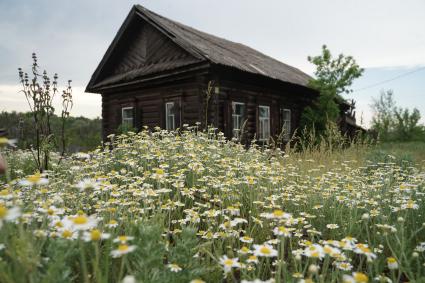 В деревне