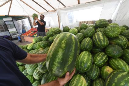 Старт сезона продаж арбузов в Москве