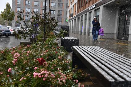 В Москве выпал первый снег