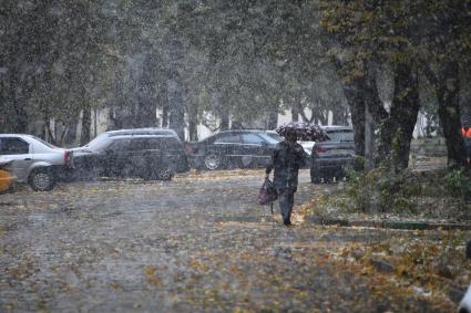 Первый снег в Москве