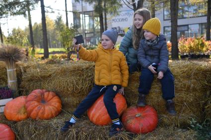 Фестиваль Золотая осень\" в Москинопарке