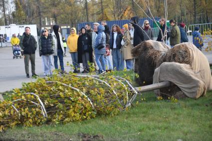 Фестиваль Золотая осень\" в Москинопарке