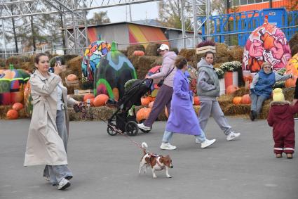 Фестиваль Золотая осень\" в Москинопарке