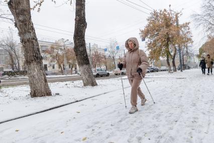 В Челябинске выпал первый снег