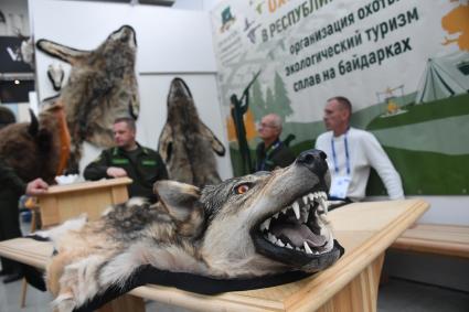 Международная выставка оружия и товаров для охоты ORЕLEXPO