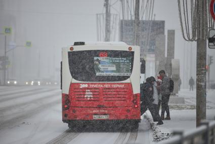 Зима в городе