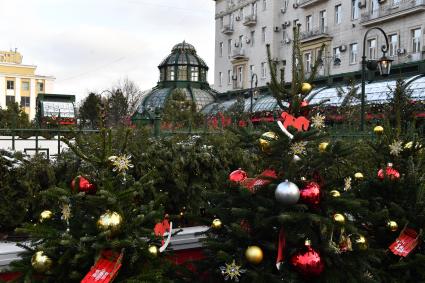 Москва предновогодняя