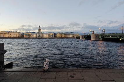 Повседневная жизнь Санкт-Петербурга