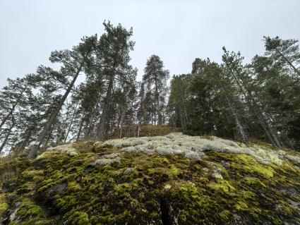 Озере Янисъярви в Карелии