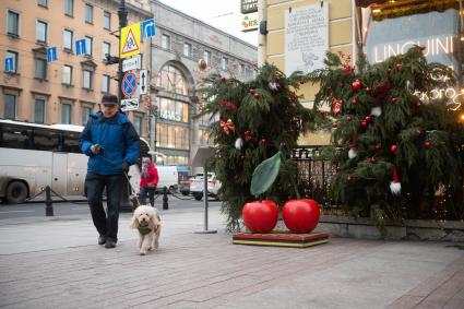 Новогодние украшения Санкт-Петербурга