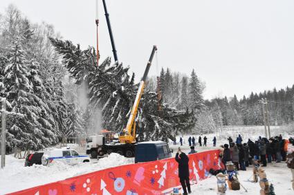 Церемония спила главной новогодней ели в Подмосковье