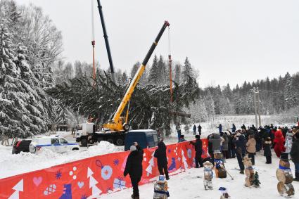 Церемония спила главной новогодней ели в Подмосковье