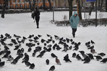 Последствия снегопада в Москве