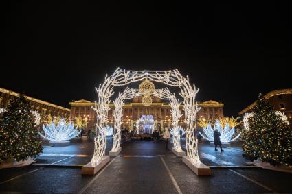 Зимний сад в Санкт-Петербурге