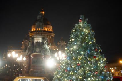 Зимний сад в Санкт-Петербурге