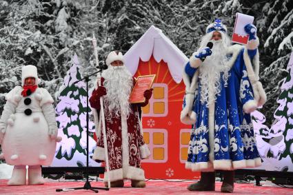 Отправка главной новогодней елки в Кремль