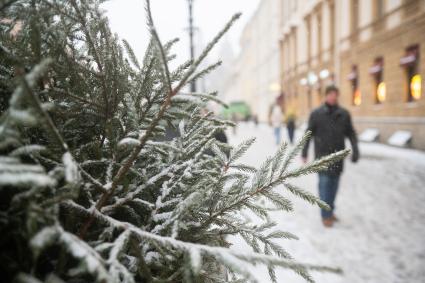 Последствия снегопада в Санкт-Петербурге