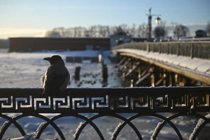 Зима в Санкт-Петербурге