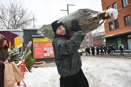 Продажа новогодних елок в Москве