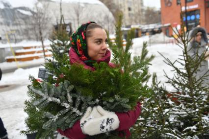 Продажа новогодних елок в Москве