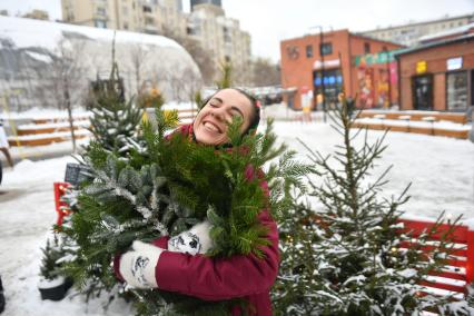 Продажа новогодних елок в Москве