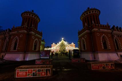 Новогодняя игра-путешествие в  Петровском путевом дворце