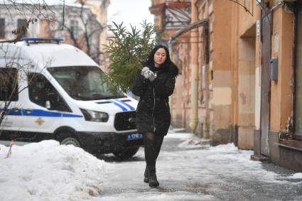 Девушка выбрасывает живую новогоднюю елку