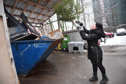 Девушка выбрасывает живую новогоднюю елку