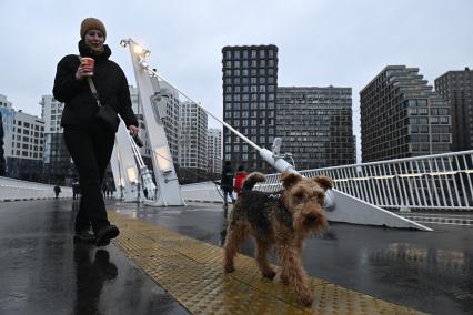 Открытие велопешеходного моста в Нагатинском Затоне в Москве