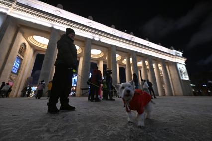 Встреча Нового Года на улицах города