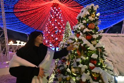 Встреча Нового Года на улицах города