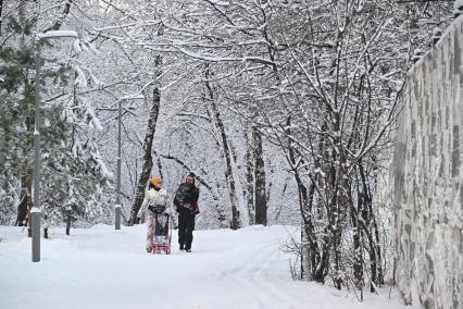 Зимняя прогулка в парке