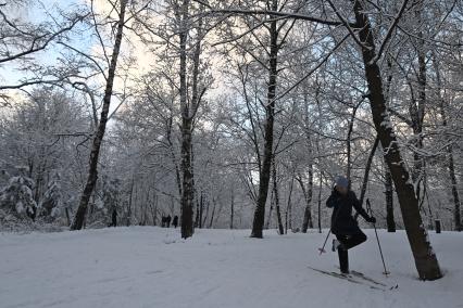 Зимняя прогулка в парке