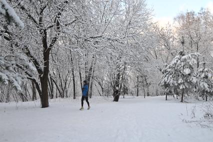 Зимняя прогулка в парке