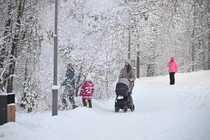 Зимняя прогулка в парке